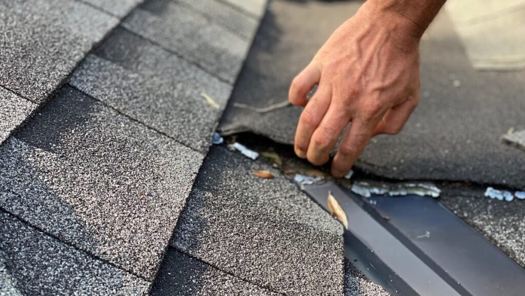 fall roof maintenance in Greeley