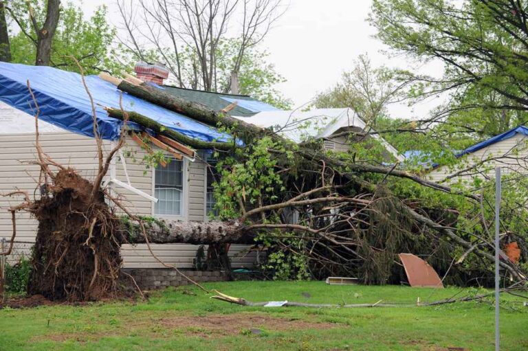 Trusted Storm Damage Repair in Severance CO
