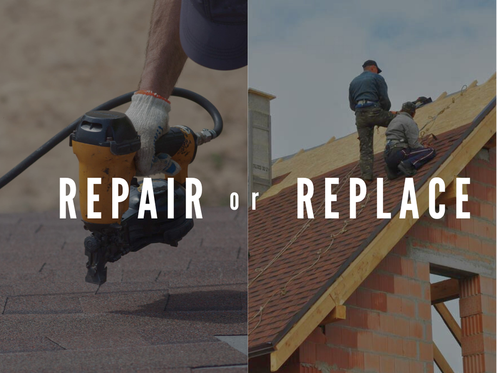 Roof Repair or Replace Expert